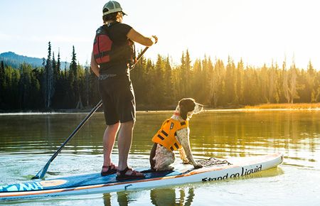 Hund auf Standup Paddle