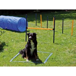 Tunnel d'agility pour chien avec sardines de fixation et sac de