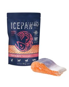 Icepaw Cat Nassfutter Lachs Pure 85g