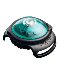 Safety Light Orbiloc Dog Dual türkis                                                                                    