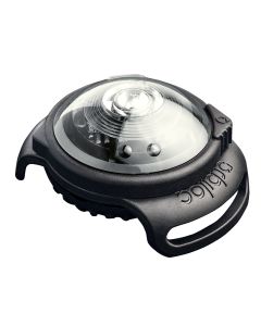 Safety Light Orbiloc Dog Dual weiss                                                                                     