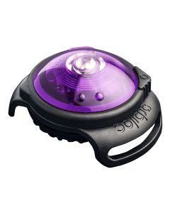 Safety Light Orbiloc Dog Dual violett                                                                                   