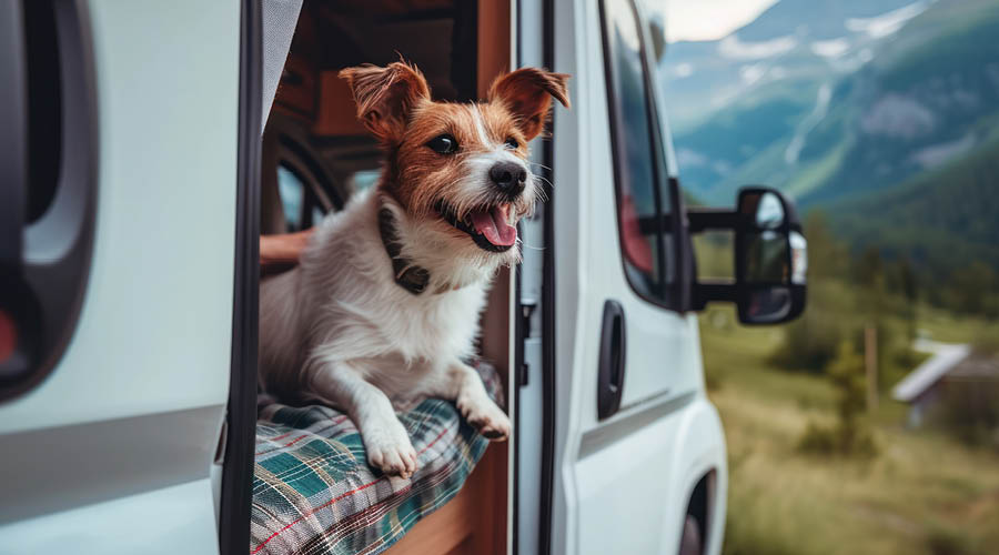 Ferien auf dem Campingplatz