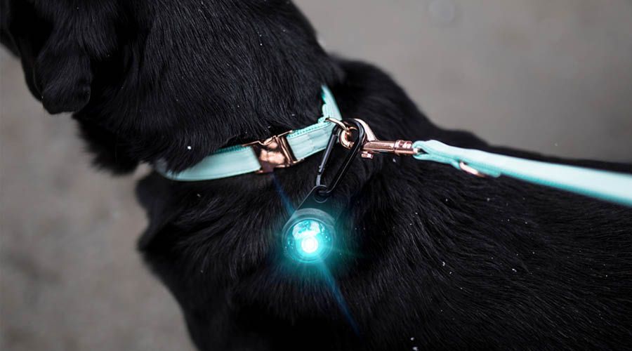 leuchtanhänger hund