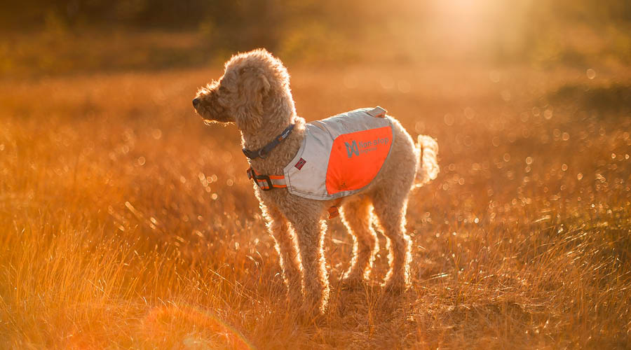 Gilets & habits de sécurité