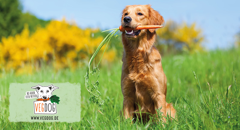 Vegdog – l'alimentation canine végétalienne en toute simplicité