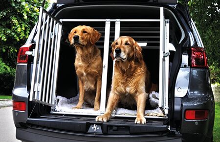 Panier de transport pour chien en voiture