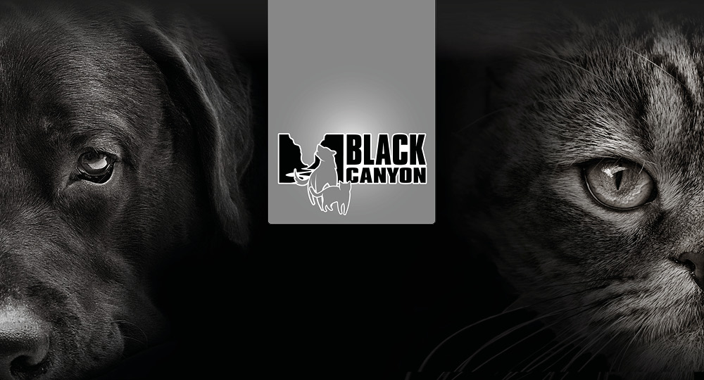 Hund mit Hundefutter von Black Caynon